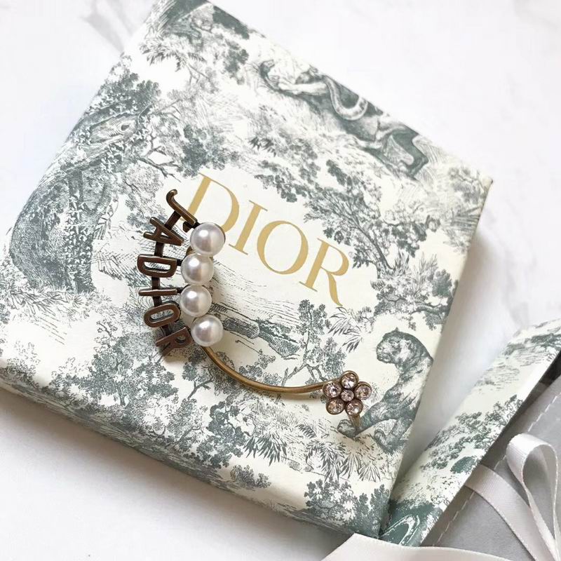 Dior Earring 06lyr732